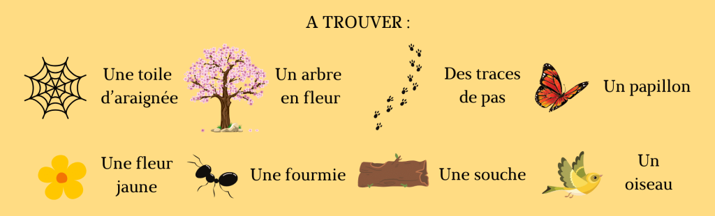Chasse au trésor dans la nature, des choses simples à trouver pour les tous petits
