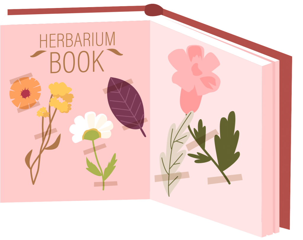 Herbier facile en famille