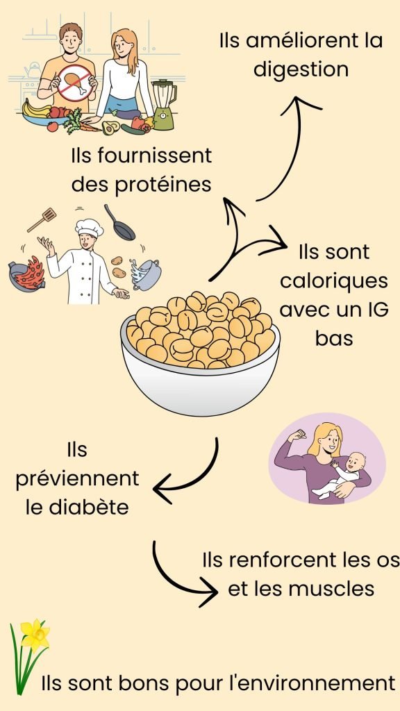 Les pois chiches améliorent la digestion, fournissent des protéines, sont caloriques avec un indice glycémique bas, préviennent le diabéte et l'ostéoporose, renforcent les os et les muscles et sont bon pour l'environnement.